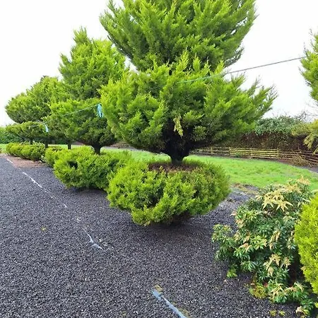 Welcome To Tunmobi Villa, Its Away From Home. *